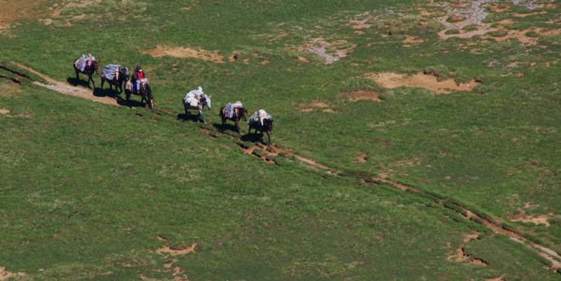 Όλυμπος topoguide: Τον Αύγουστο, τα αγώγια των μουλαριών προς το κατ. Χ. Κάκαλος είναι σχεδόν καθημερινά Όλυμπος topoguide