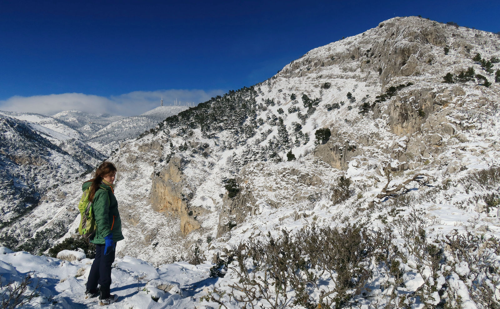 Η Άγρια Πάρνηθα: Στην Κόψη Φλαμπούρι Η Άγρια Πάρνηθα: Στην Κόψη Φλαμπούρι
