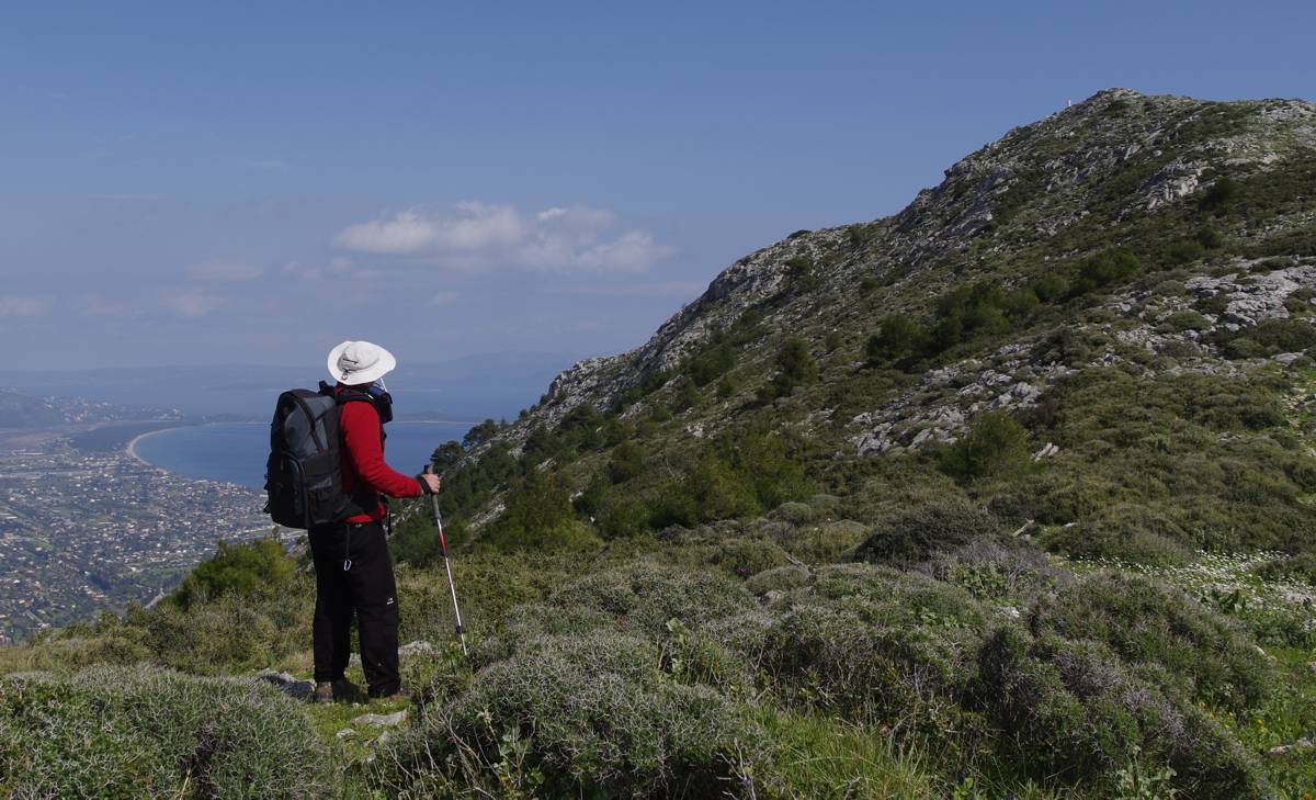 Αγριλίκι: κοντά στην κορυφή Αγριλίκι