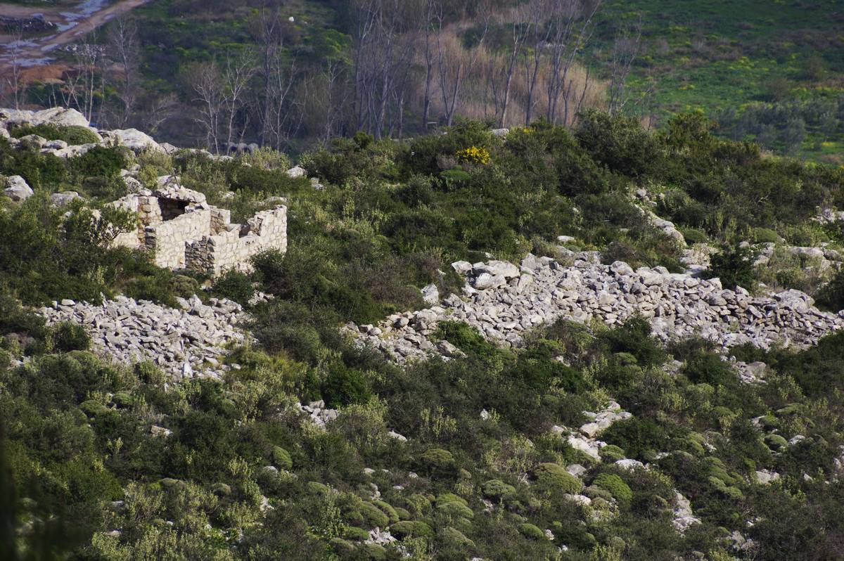 Αγριλίκι: η αρχαία ακρόπολη στις ανατολικές πλαγιές Αγριλίκι