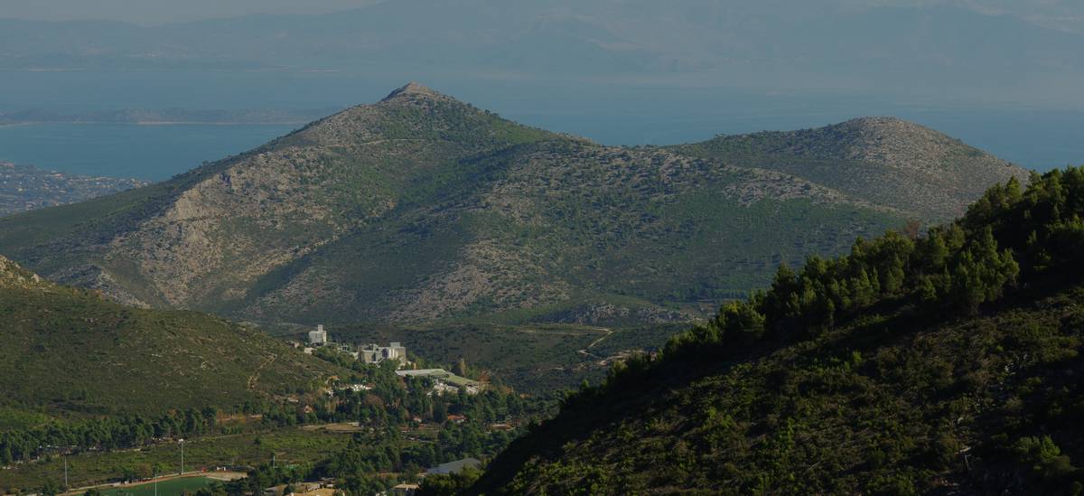 Αγριλίκι Αγριλίκι