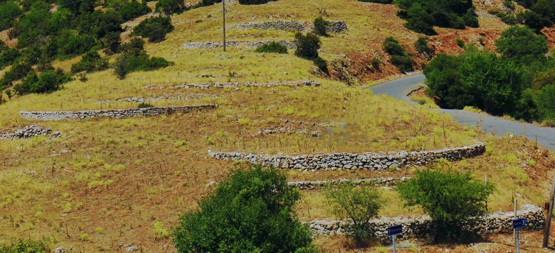 Menalon Trail topoguide: Μαγούλιανα Menalon Trail topoguide