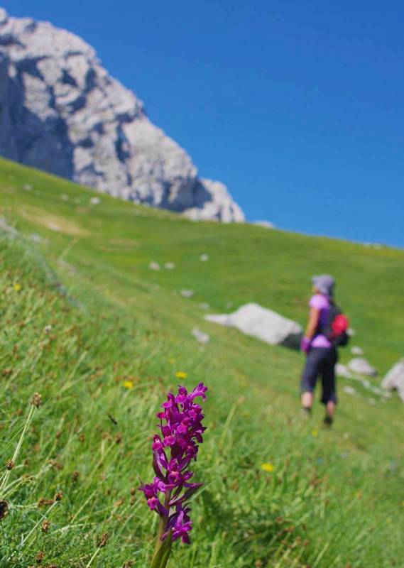 Giona topoGuide: Surprising spots await the hiker on every step Giona topoGuide: Surprising spots await the hiker on every step