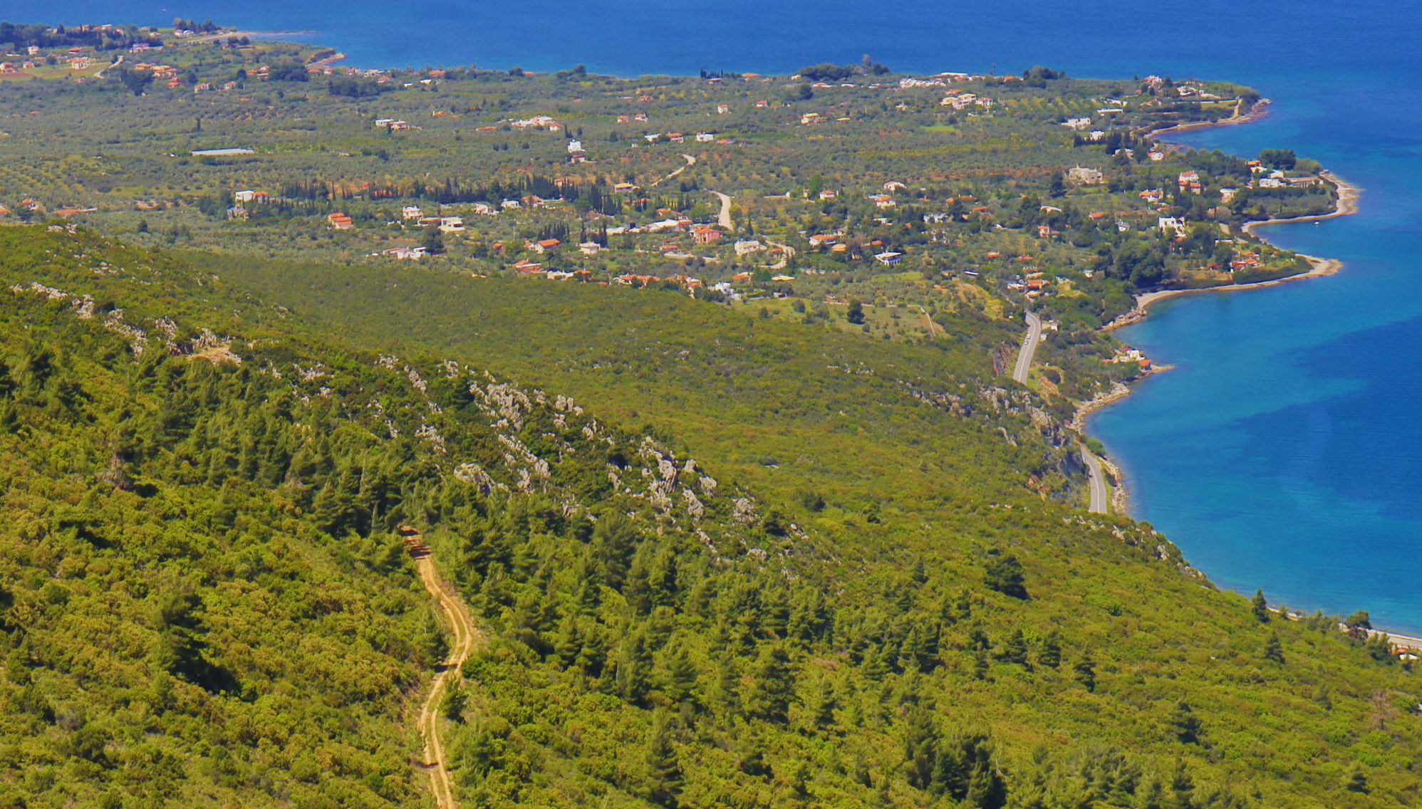 Κτυπάς topoguide: Υπολείμματα του παλιού πευκοδάσους, στις ανατολικές πλαγιές του Κτυπά Κτυπάς topoguide: Υπολείμματα του παλιού πευκοδάσους, στις ανατολικές πλαγιές του Κτυπά