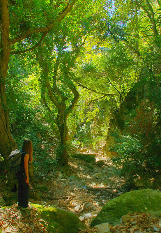 South Pelion topoguide: Chalorema gorge
(Afetes-Afissos trail) South Pelion topoguide