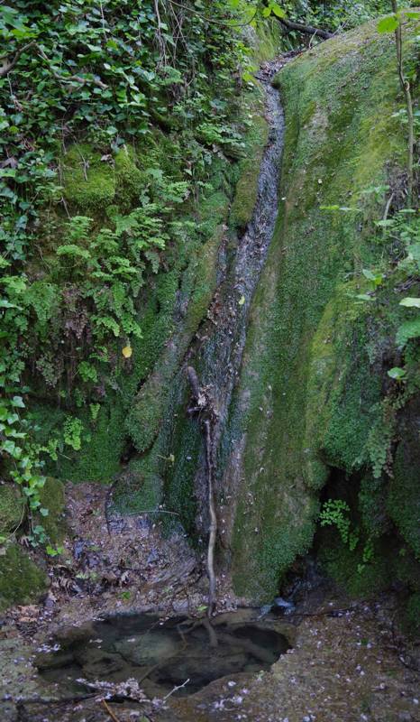 Corfu Trail: The Benitses springs