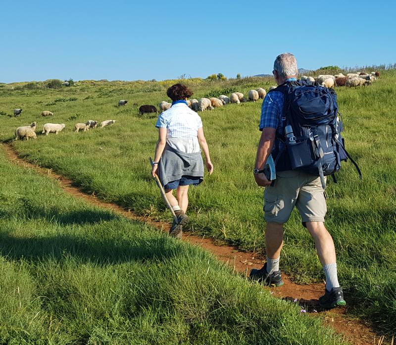 Corfu Trail