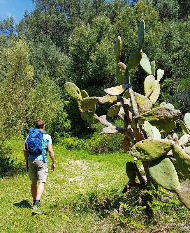 Corfu Trail