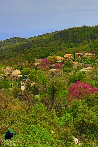 Corfu Trail