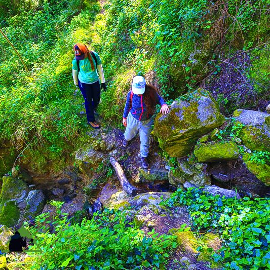 Corfu Trail