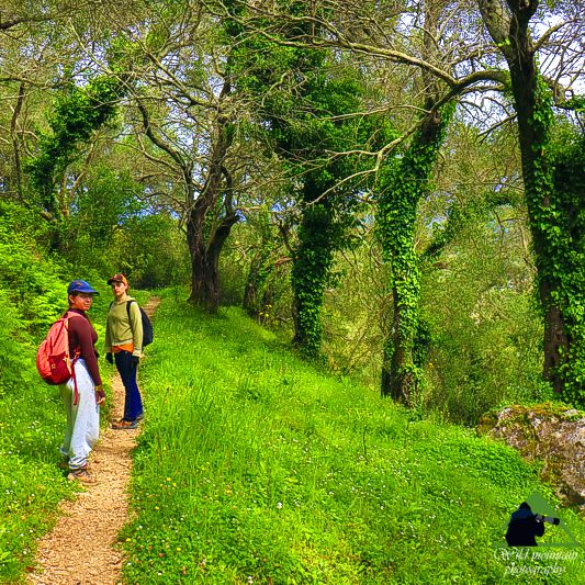 Corfu Trail
