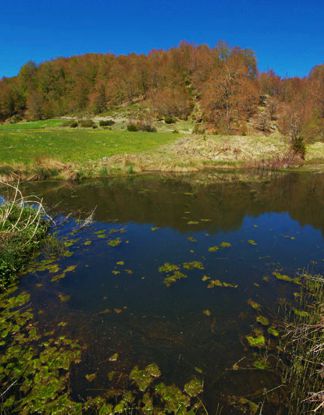 Epirus Trail: Οι ορεινές λιμνούλες