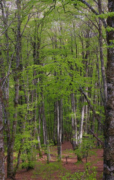 Epirus Trail topoguide