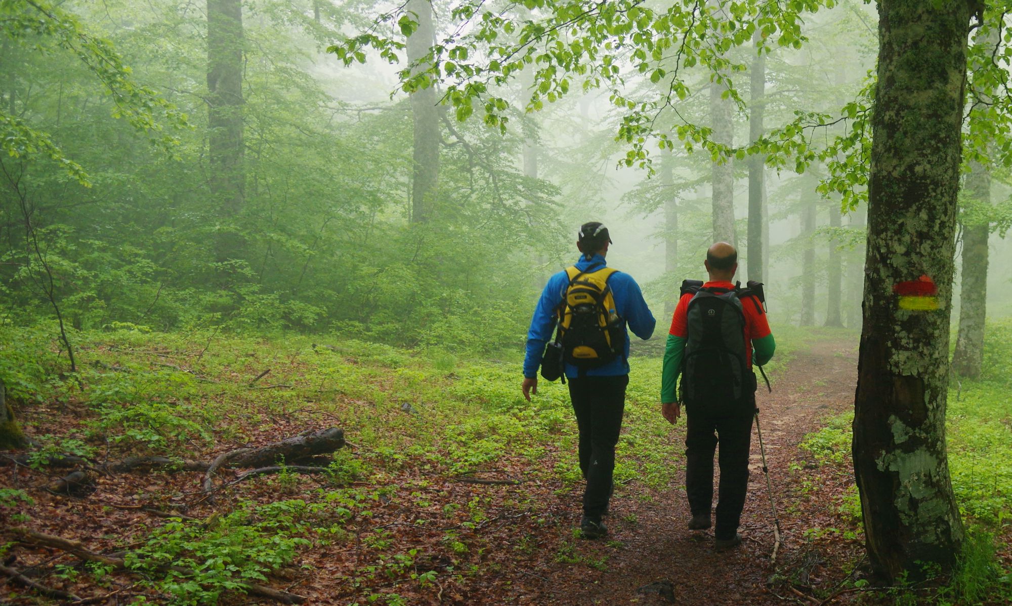 Epirus Trail: Στα δάση του Μετσόβου