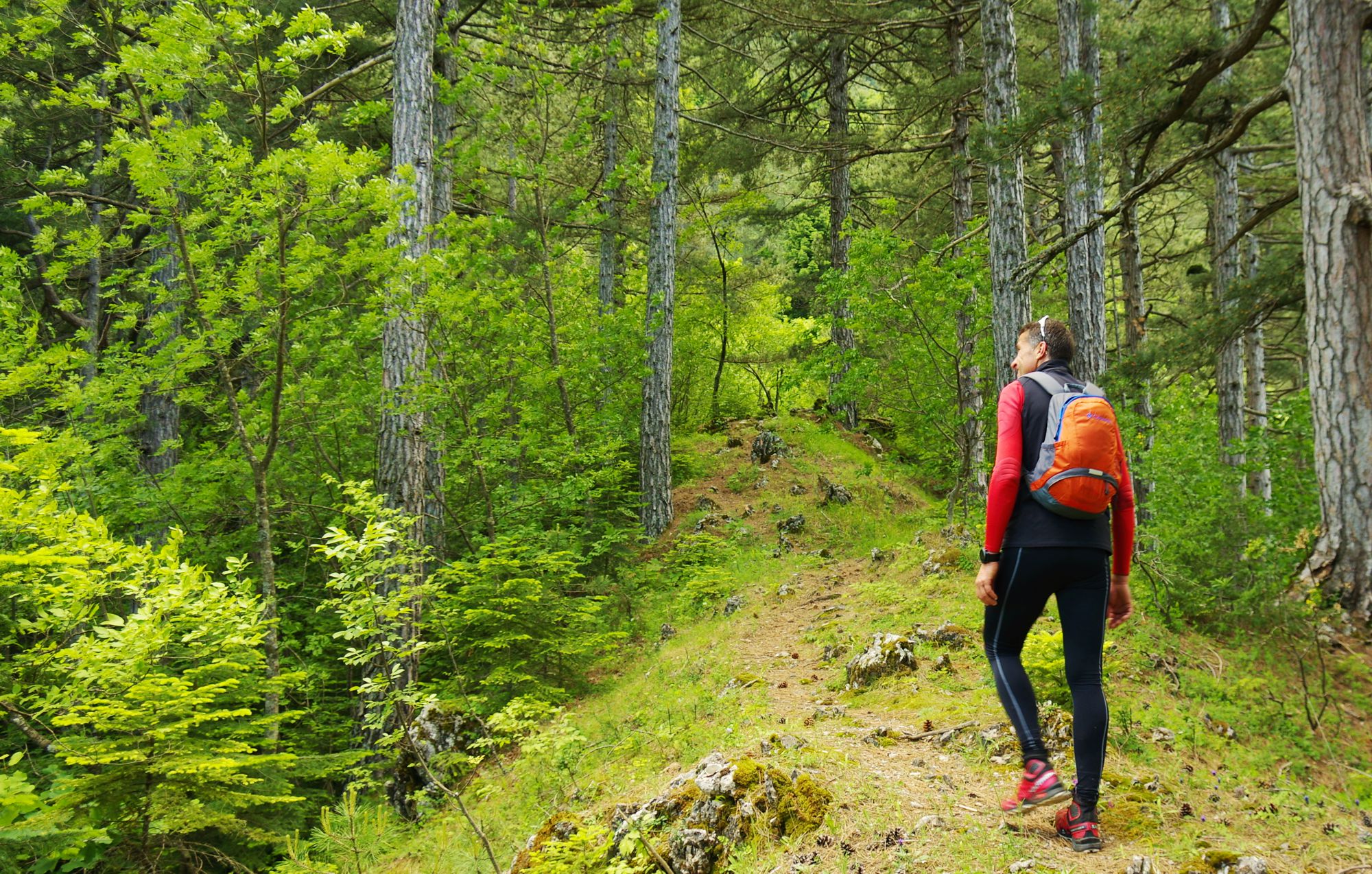 Epirus Trail: Ανεβαίνοντας προς τον Αμάραντο