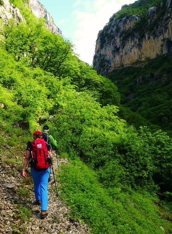 Epirus Trail topoguide: Πάπιγκο-Μονοδέντρι