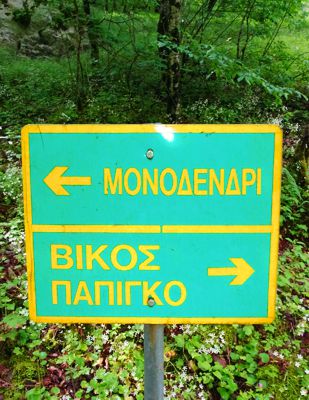 Epirus Trail: Πάπιγκο-Μονοδέντρι