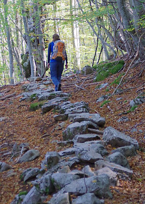 Nestos-Rodopi Trail