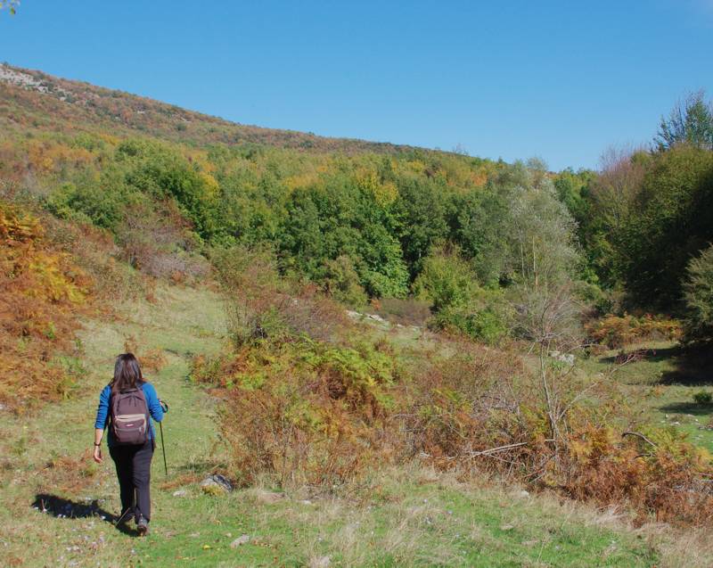 Nestos-Rodopi area: In the meadows of Rodopi