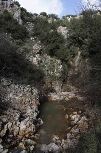 Ο22 Δρυός Κεφαλές-Σκούρτα