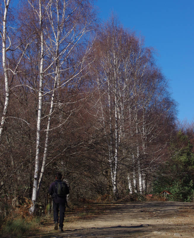 Nestos Rodopi Trail