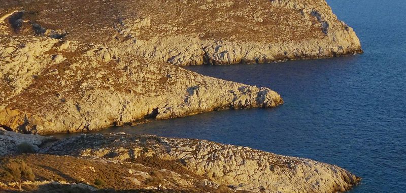 Χλωρίδα της Καλύμνου: Η παράκτια ζώνη της Καλύμνου Χλωρίδα της Καλύμνου