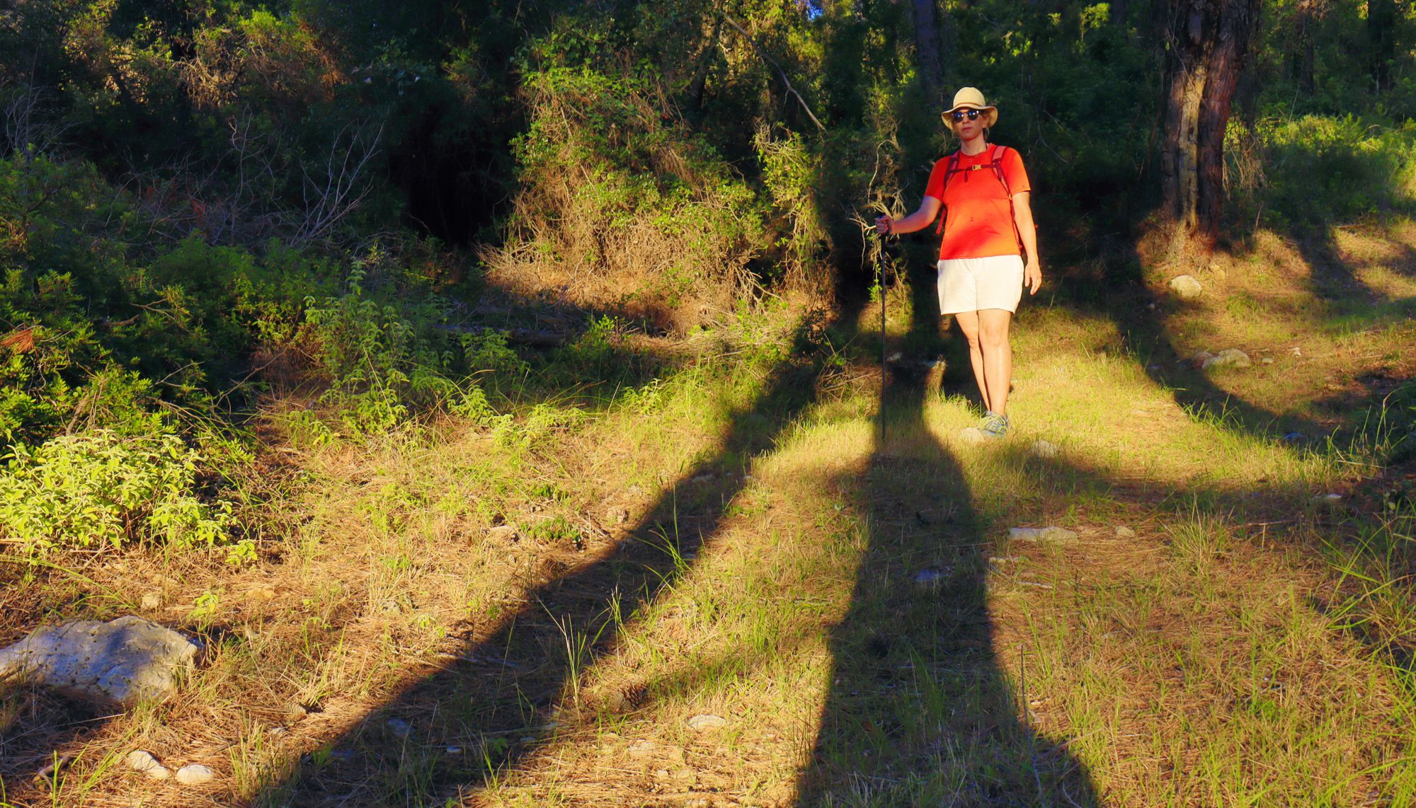 Alonnisos topoguide: On the path to Agii Anargyri Alonnisos topoguide: On the path to Agii Anargyri