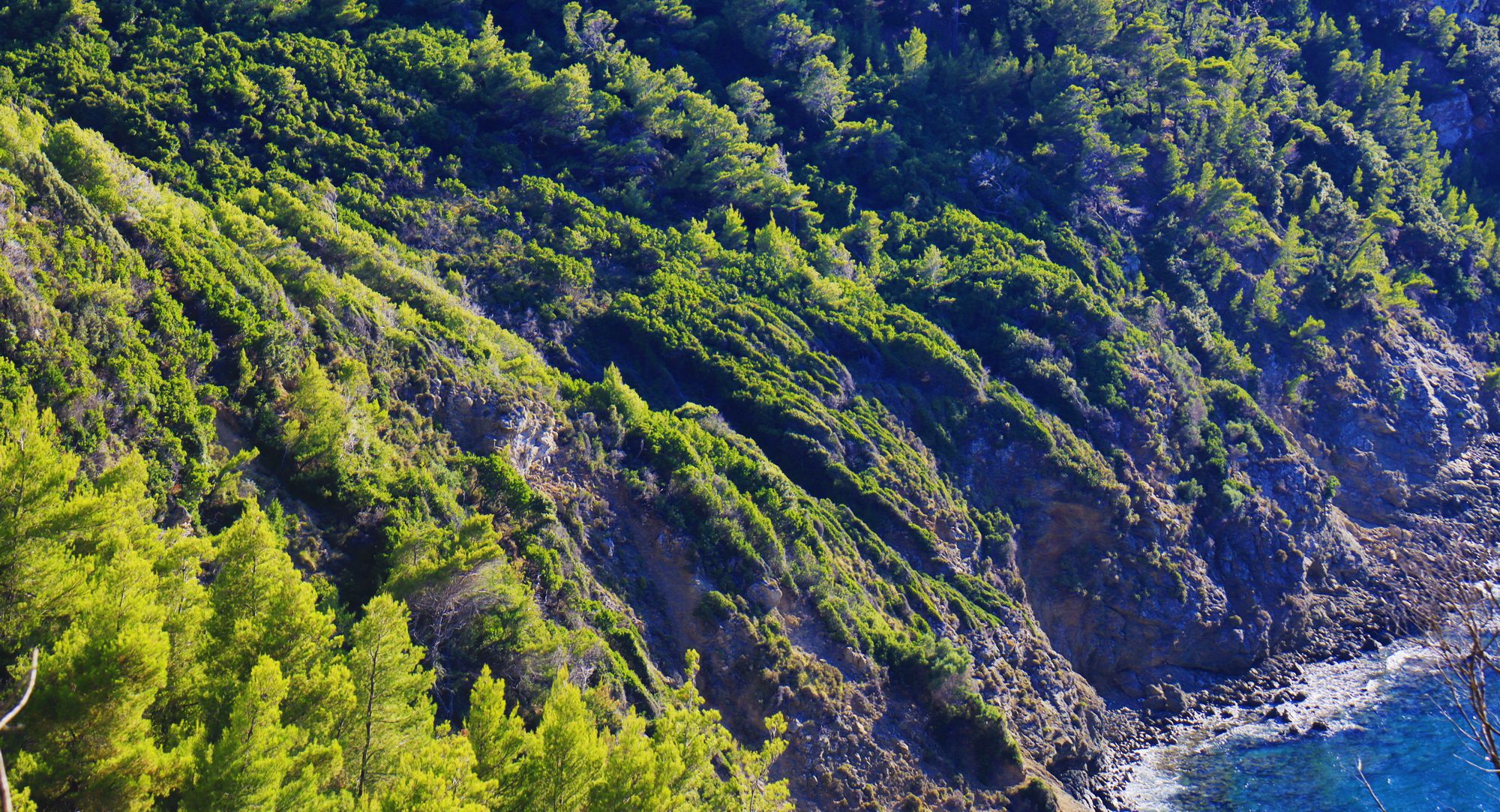 Alonnisos topoguide Alonnisos topoguide