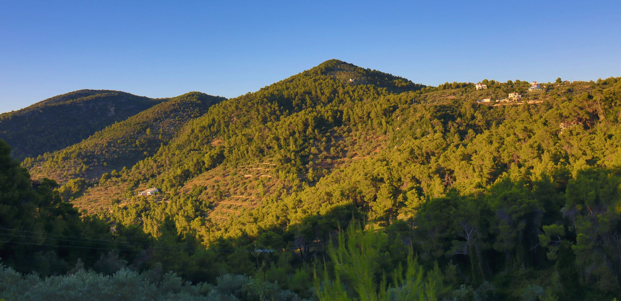Alonnisos topoguide: Vegetation of Alonnisos Alonnisos topoguide: Vegetation of Alonnisos