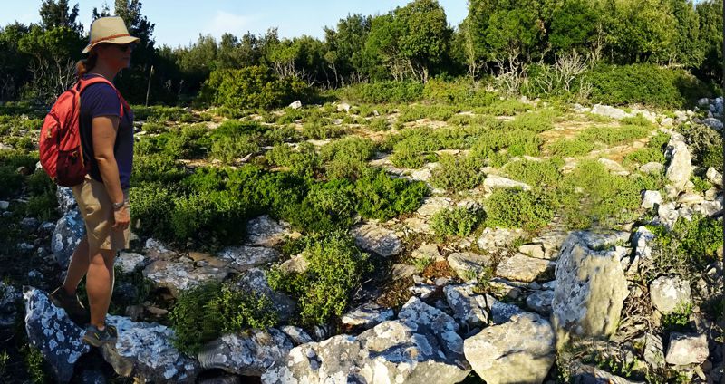 Αλόννησος topoguide: Old threshing floor in Megalo Chorafi Αλόννησος topoguide: Old threshing floor in Megalo Chorafi