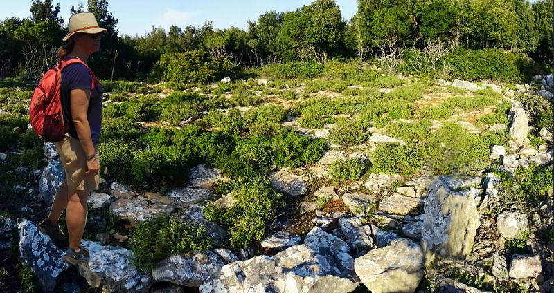 Αλόννησος topoguide: Old threshing floor in Megalo Chorafi