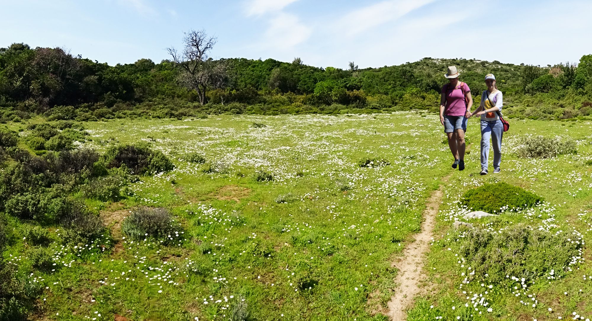 Alonnisos topoguide: Agios Georgios-Melegakia-Agios Konstandinos-Psili Rachi-Agios Georgios loop trail Alonnisos topoguide: Agios Georgios-Melegakia-Agios Konstandinos-Psili Rachi-Agios Georgios loop trail