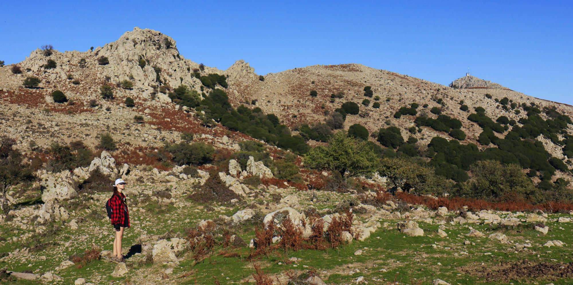 Ζεύξη Προφήτης Ηλίας-Βίγλα Ζεύξη Προφήτης Ηλίας-Βίγλα