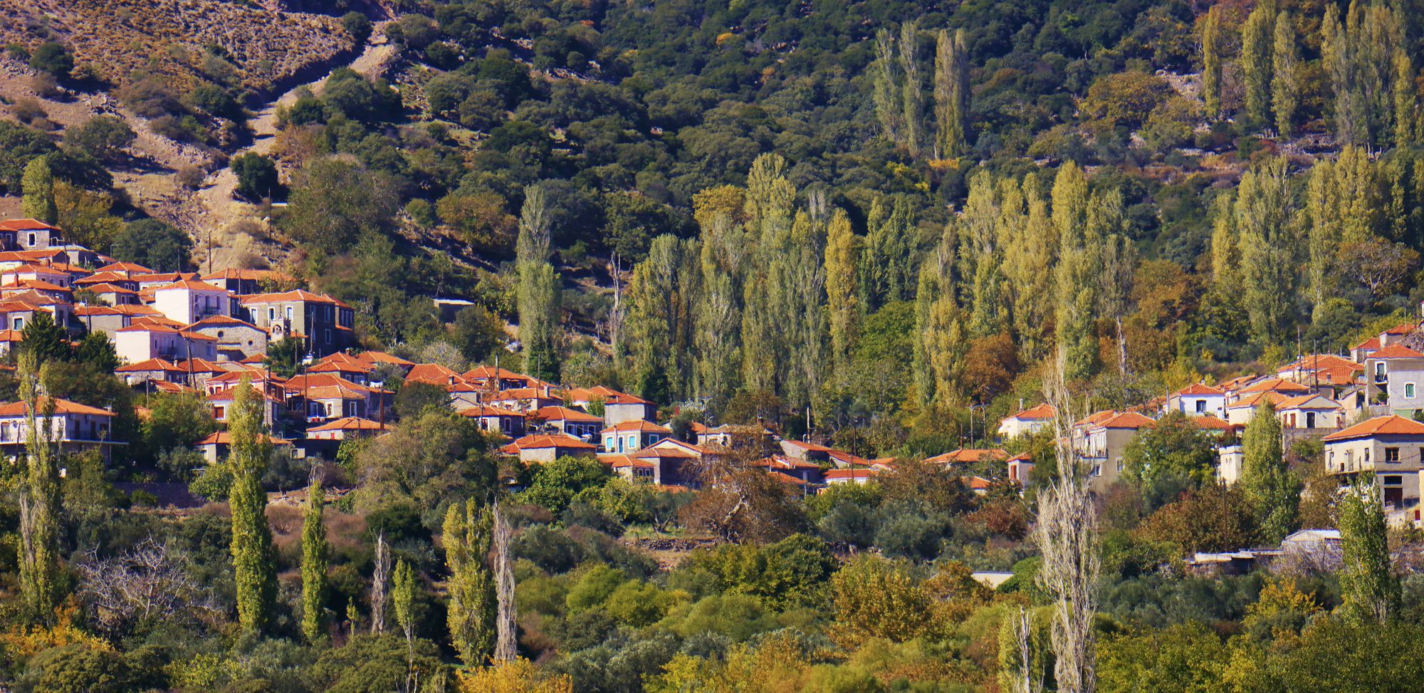 Πελόπη-Προφήτης Ηλίας Πελόπη-Προφήτης Ηλίας