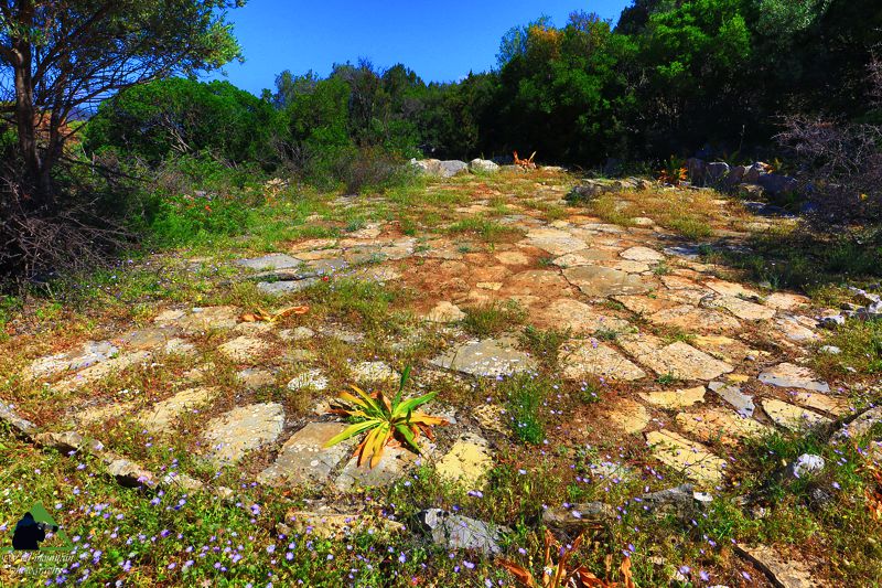 Γεωγραφία του Πόρου: Το αλώνι στα Μοσχογιανναίικα Πόρος-Τροιζηνία topoguide