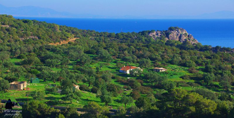 Γεωγραφία του Πόρου: Αγροικία στις πλαγιές της Βαγιωνιάς Πόρος-Τροιζηνία topoguide