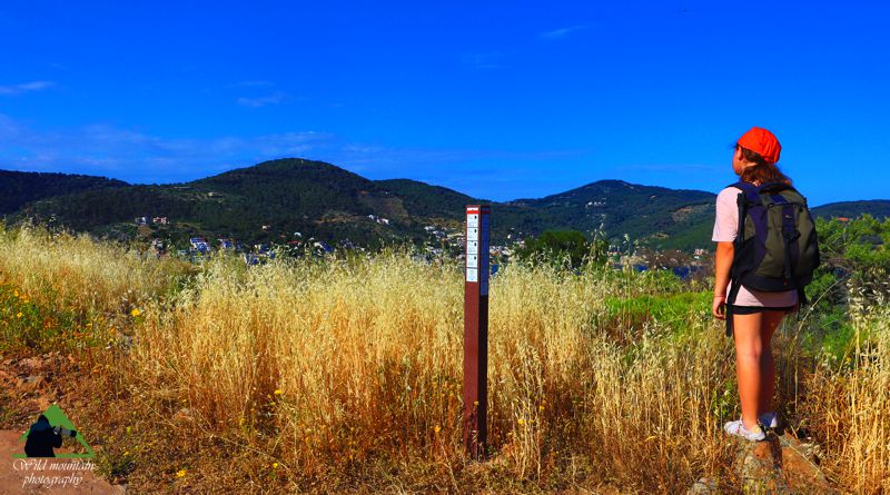 Πόρος και Τροιζηνία: Στο ψηλότερο σημείο της Σφαιρίας, ατενίζοντας τα πευκοδάση του Πόρου Πόρος-Τροιζηνία topoguide