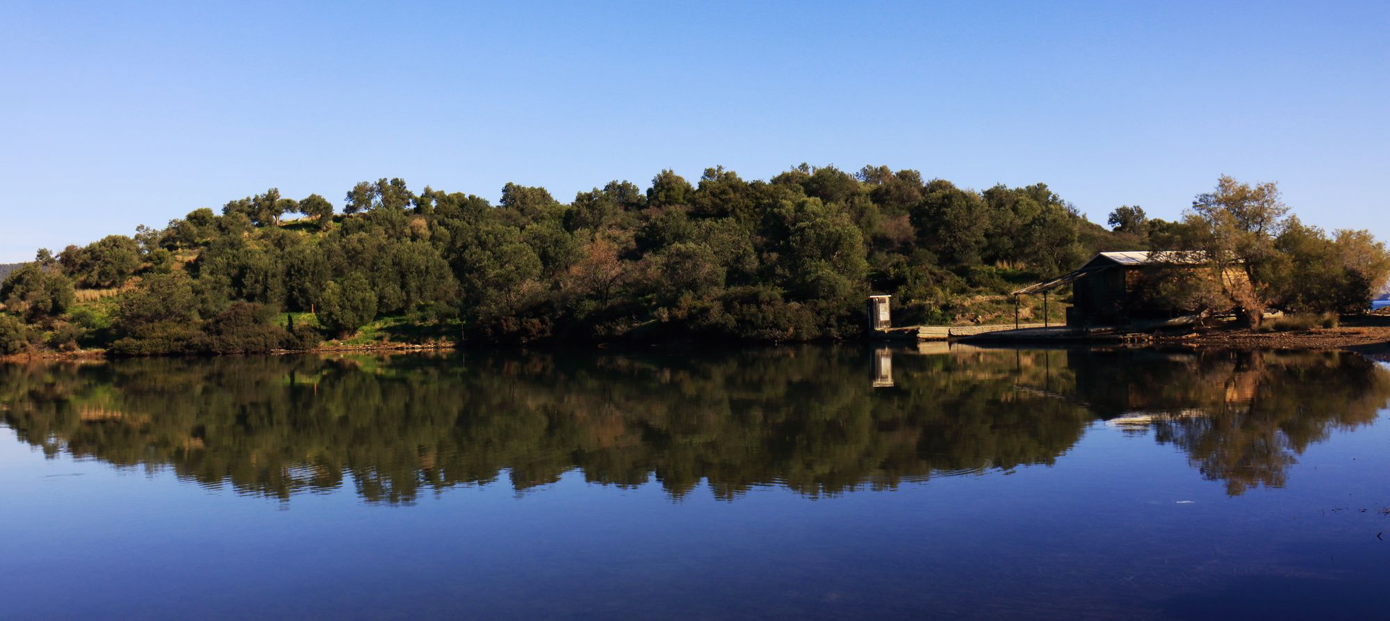 Κυκλική πορεία στην Αλυκή