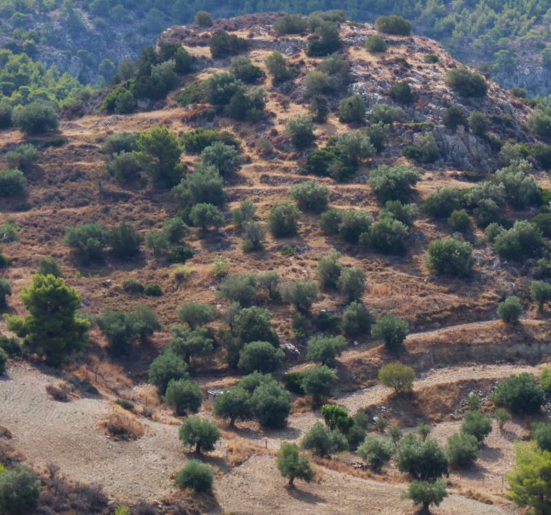 Μικρή Αττική topoguide