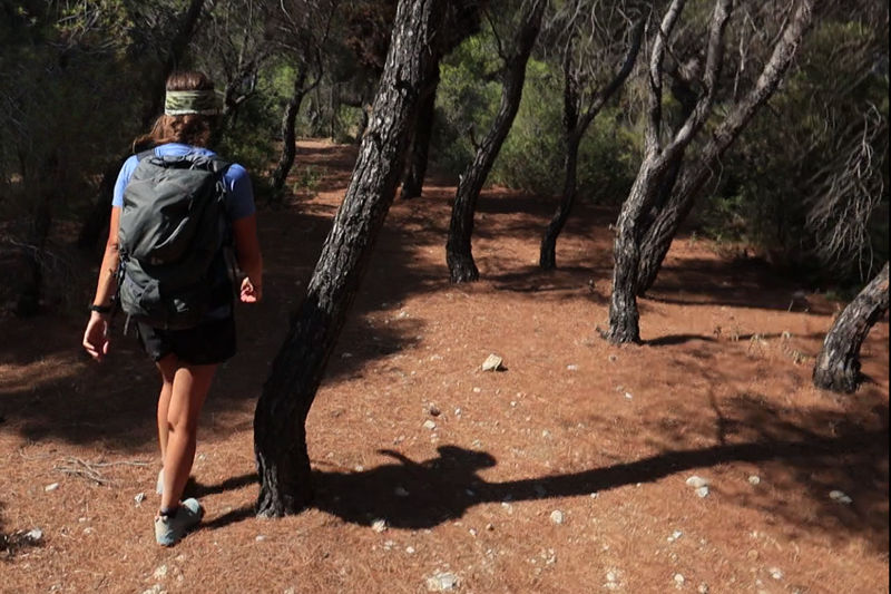 Σπέτσες: Στο πευκοδάσος Μικρή Αττική topoguide