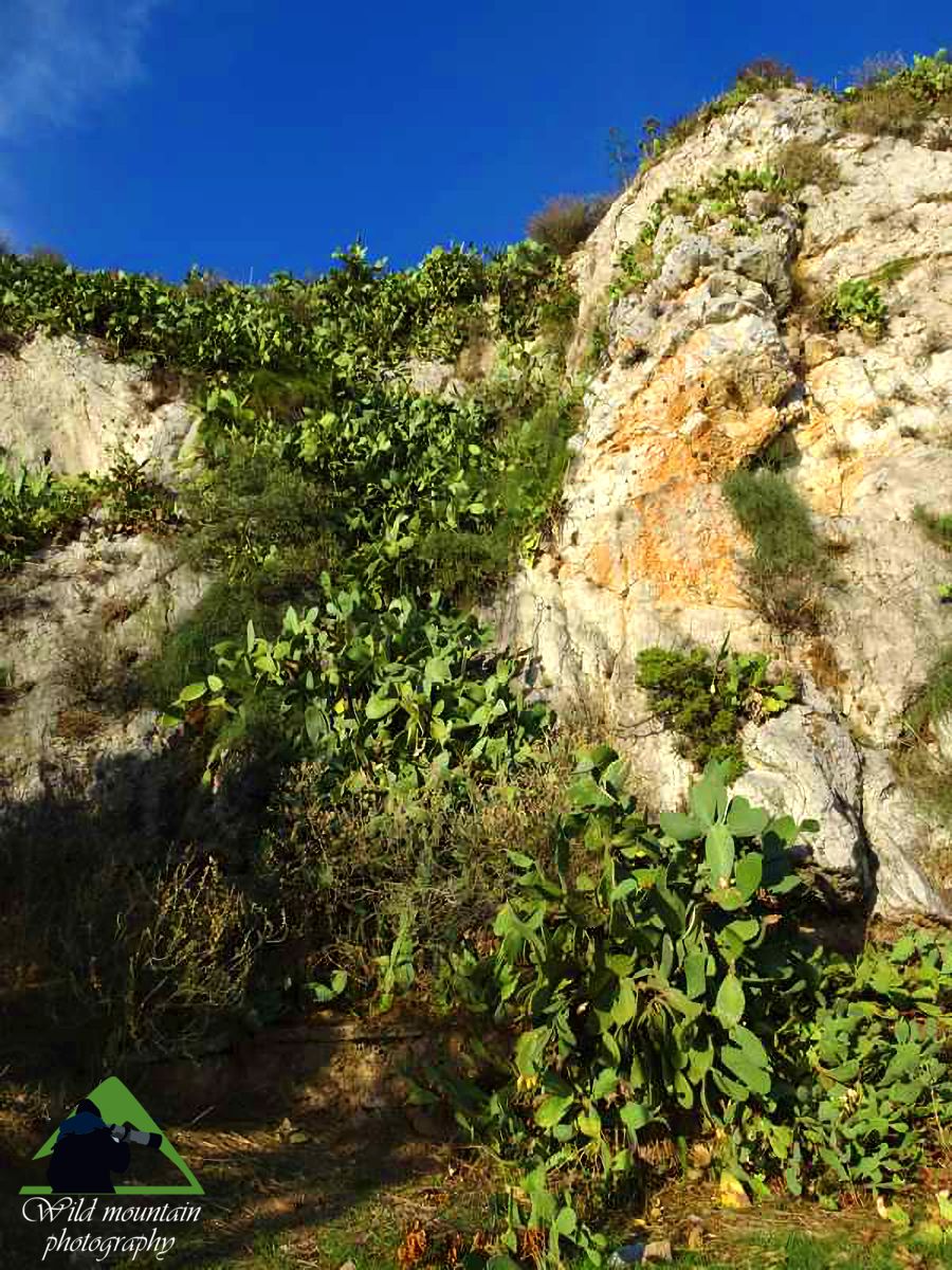 Λυκαβηττός topoguide