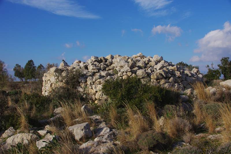 Ποικίλο όρος