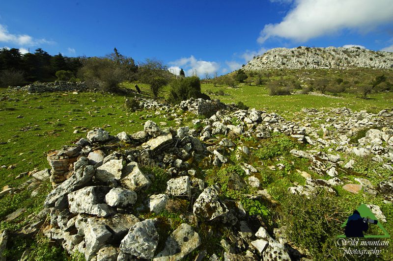 Τα μονοπάτια της Ανατολικής Πάρνηθας, διαδρομή Διάσελο Πανός-Ντράσιζα-Λημικό. Τα ερείπια της Ντάρδιζας Πάρνηθα topoguide