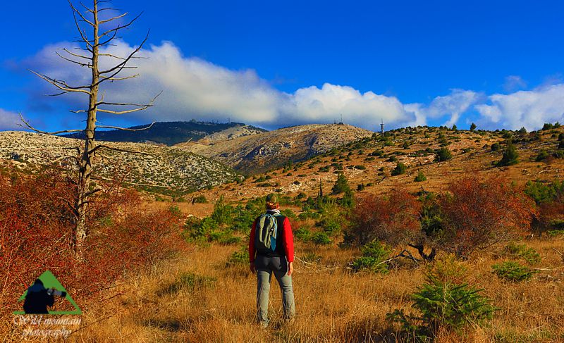 Δυτική Πάρνηθα, Διαδρομή Τελεφερίκ-Διάσελο Σκάλα-Αγία Τριάδα: Στο οροπέδιο Ξερολίβαδο Πάρνηθα topoguide
