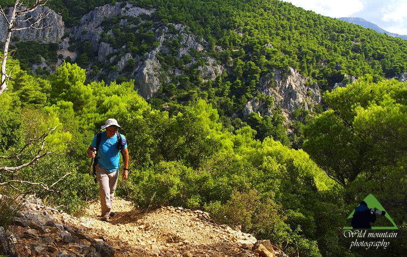Τα μονοπάτια της Δυτικής Πάρνηθας, Κυκλική πορεία στο Πλατανάκι. Στο μονοπάτι μετά την πηγή, ανεβαίνοντας προς το δασικό δρόμο Πάρνηθα topoguide