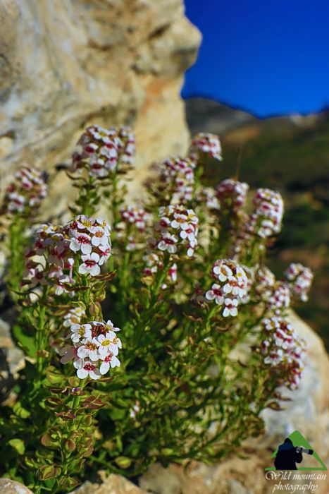Πεντέλη topoguide