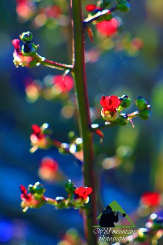 Πεντέλη topoguide