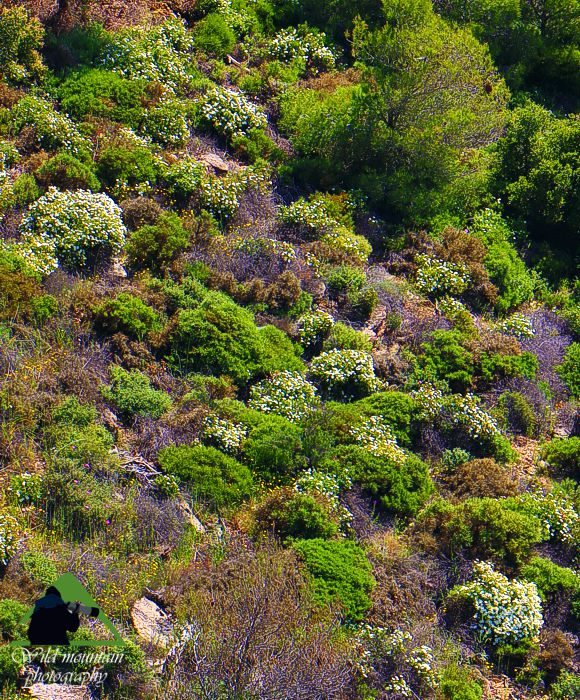 Πεντέλη topoguide