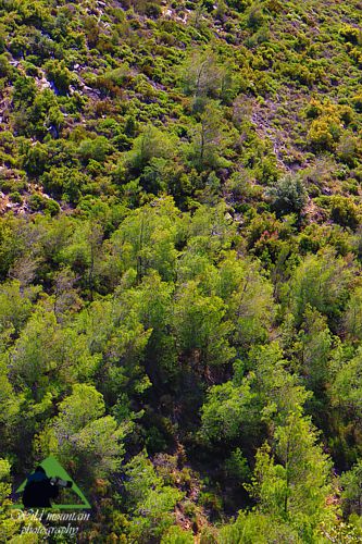 Πεντέλη topoguide