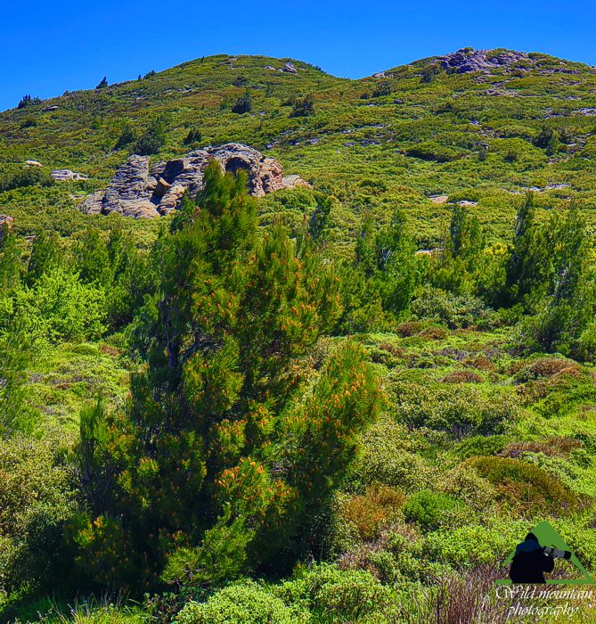 Πεντέλη topoguide